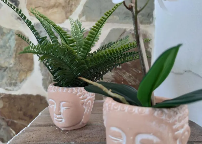 Volkkanrentals Casa La Hoya فامارا